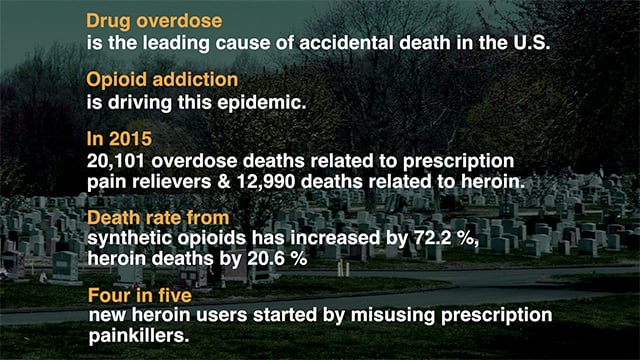 Spirit of Hope Excerpt